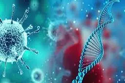 دفن ۲۳۴ بیمار کرونایی طی ۲ روز گذشته در بهشت‌زهرا