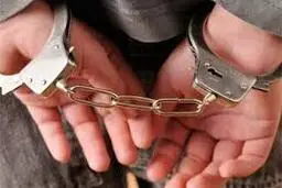 کلاهبرداری    |    دستگیر ی پزشک قلابی مدعی درمان بیماری کرونا در فارس