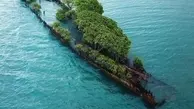 رویش درخت روی کشتی غرق شده