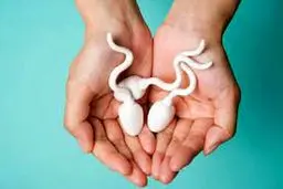 حساسیت به اسپرم چیست؟ | آیا به اسپرم آلرژی دارید؟ | علائم و نشانه‌های حساسیت به اسپرم