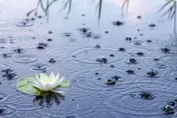 مردم‌داریِ افراطی فضیلتی که به فرسودگی عاطفی می‌انجامد