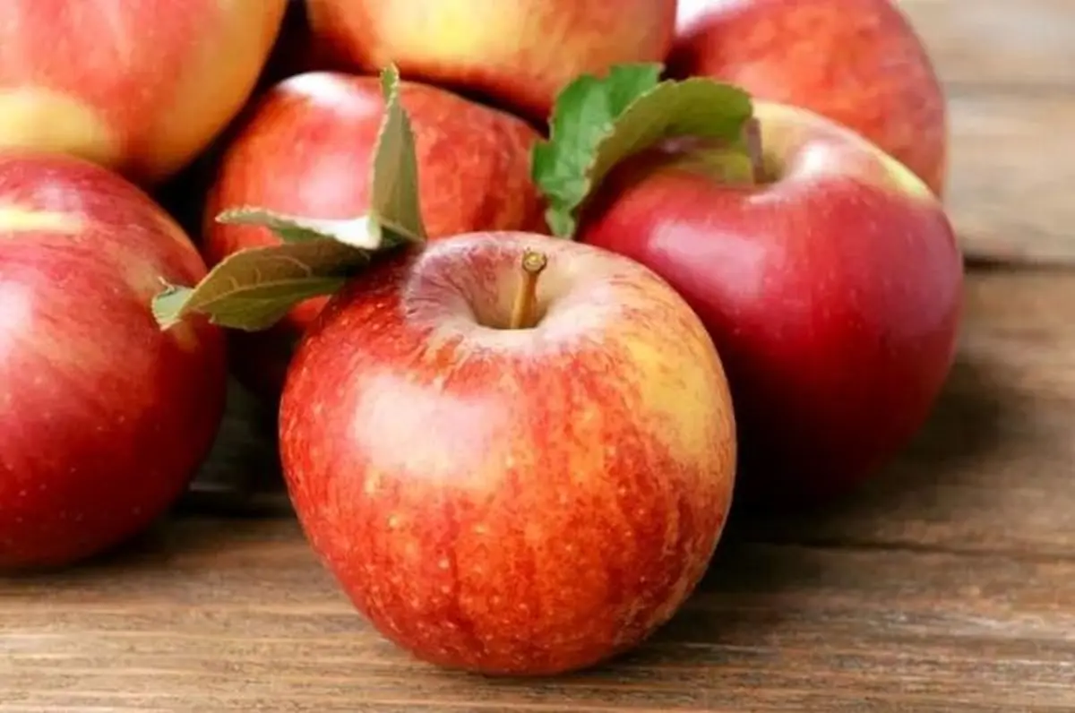 بهترین زمان برای مصرف سیب | خواص فراوان میوه سیب