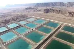 عملیات ساخت بخشی از مرکز پرورش میگو در حریم ژئوپارک جهانی قشم متوقف شد 