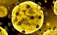 ویروس کرونا و ملاحظات ترور بیولوژیک در بین کشورها
