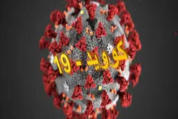تصمیماتی درباره بازگشایی قهوه‌خانه‌ها، تالارها و ورود توریست خارجی به کشور