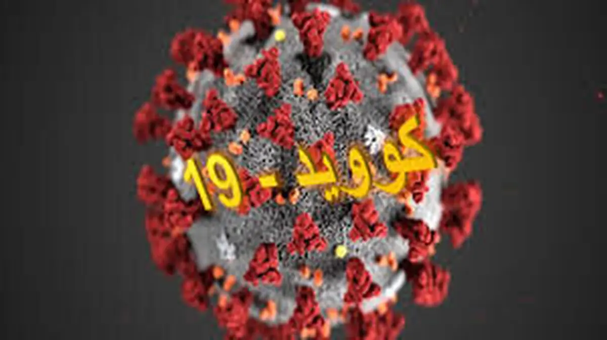 تصمیماتی درباره بازگشایی قهوه‌خانه‌ها، تالارها و ورود توریست خارجی به کشور