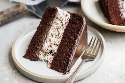 طرز تهیه کیک بستنی دسری راحت برای تابستان +ویدئو