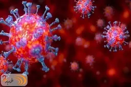 بهبودیافتگان به علت داشتن توانایی خنثی‌سازی ویروس، از خطر ابتلا و انتقال به دیگران دور هستند،