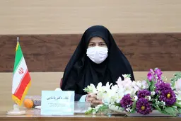 نگرش‌های تندروانه در طرح صیانت وجود دارد؛ اگر به صحن برگردد فکر می‌کنم تعدیل می‌شود