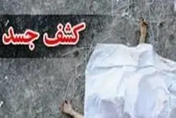 جسد دختر ۲۵ساله در سطل زباله خیابان آصف زعفرانیه کشف شد