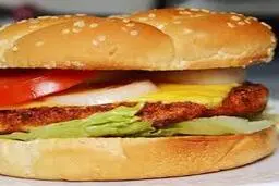 چیکن برگر رو دیگه خودت درست کن | برای طرز تهیه چیکن برگر باما همراه باشید+ویدئو