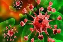 موادغذایی فله خریداری نکنید