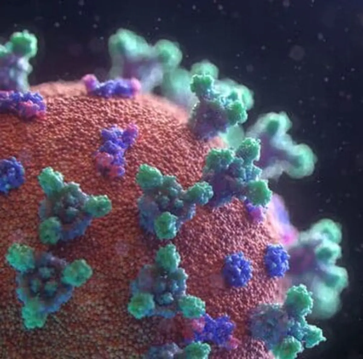آنتی‌بادی که سد راه کروناویروس می‌شود کشف شد