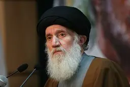 ترخیص آیت‌الله فاطمی‌نیا از بیمارستان | روند درمان در منزل ادامه دارد