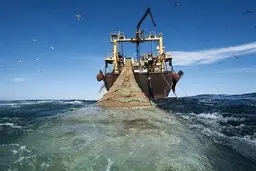  سهام بیشتر شرکت‌هایی که صید ترال می‌کنند به چینی‌ها تعلق دارد
