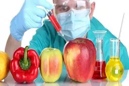 مجلس واردات محصولات تراریخته را ممنوع کند/ قاچاق بذرهای تراریخته به کشور