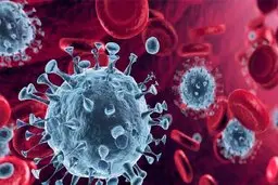 تازه‌ترین آمار جهانی شیوع کووید ۱۹ 