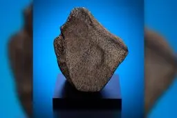 خرید و فروش میلیاردی شهاب سنگ‌ها در ایران |  ۵ میلیون تومان بدهید ببرید آزمایش کنید! 