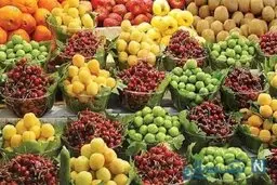 قیمت نوبرانه‌ها در میدان  | گیلاس تلخک نوبرانه  ۱۰۰ هزار تومان