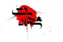 یک عضو نیروی مرزبانی ناجا در کردستان به شهادت رسید 
