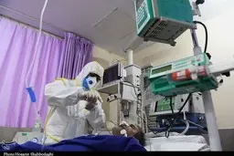 بهبودیافته های کرونایی تا چه مدت ناقل بیماری هستند؟ 