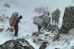 مرگ 2 کولبر جوان در ارتقاعات نوسود