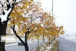 سرمای هوا در بیشتر مناطق کشور تا پایان هفته ماندگار است