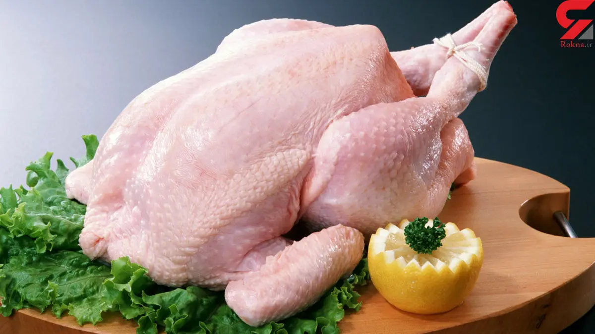قیمت مرغ در بازار امروز چقدر است؟ | مردم مرغ ذخیره کنند تا گران نشود!