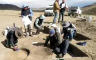 
 شکارچی زن  |  بقایای ۹‌هزارساله یک شکارچی زن در کشور «پرو»کشف شد .
