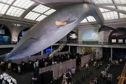 موزه شهر نیویورک به مرکز واکسیناسیون تبدیل شد+عکس| تبدیل موزه به مرکز واکسیناسیون؟ 