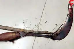 دایی تالشی خواهرزاده اش را با داس به قتل رساند