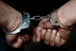 افرادی که برای خوش‌گذارنی موبایل می‌دزدیدند دستگیر شدند 