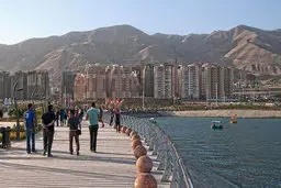 چرا معاون هماهنگ کننده ارتش به شورای شهر تهران رفت؟