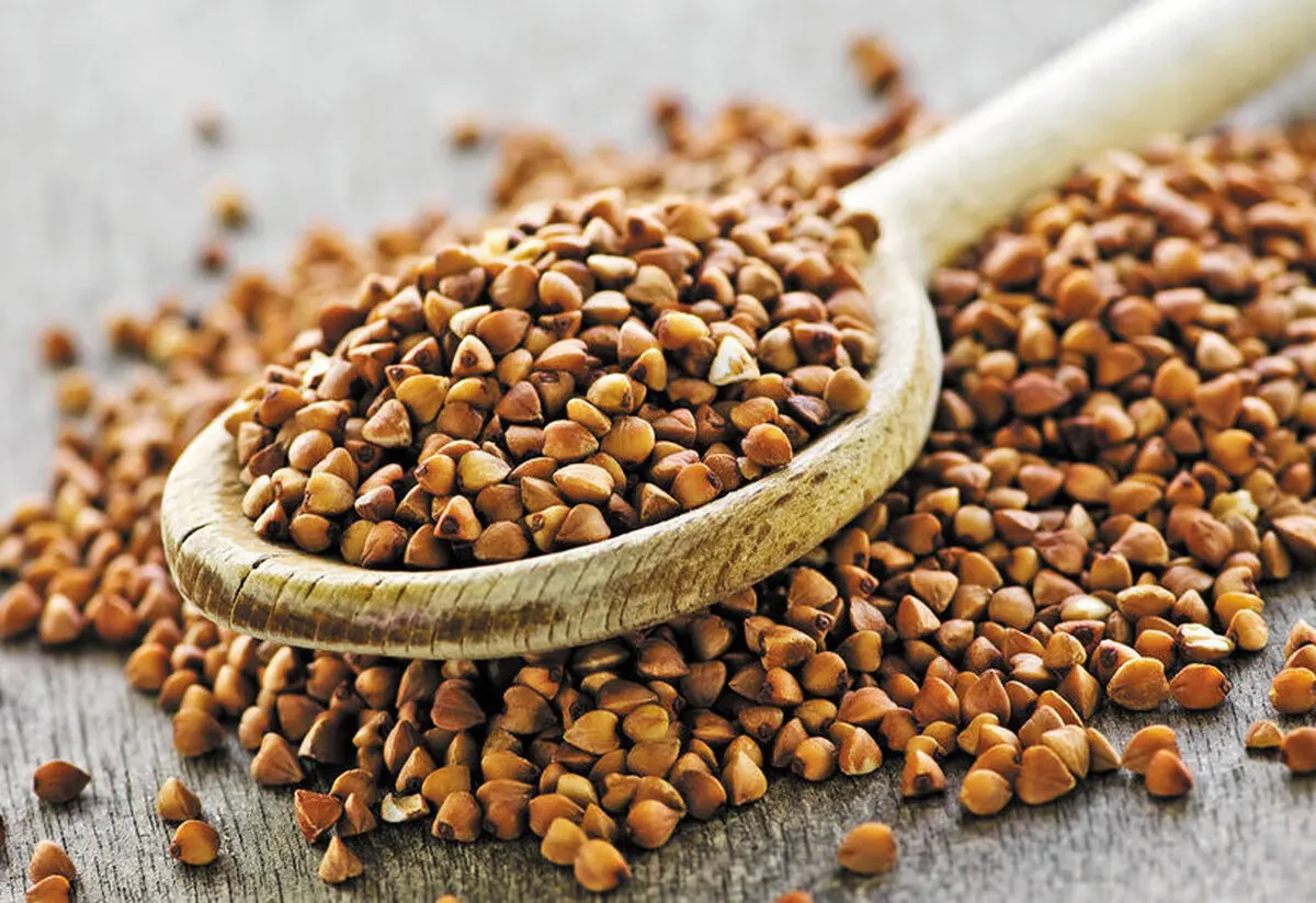 کاهش کلسترول خون با مصرف گندم سیاه| گندم سیاه چیست؟