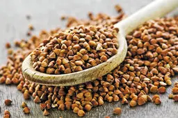 کاهش کلسترول خون با مصرف گندم سیاه| گندم سیاه چیست؟