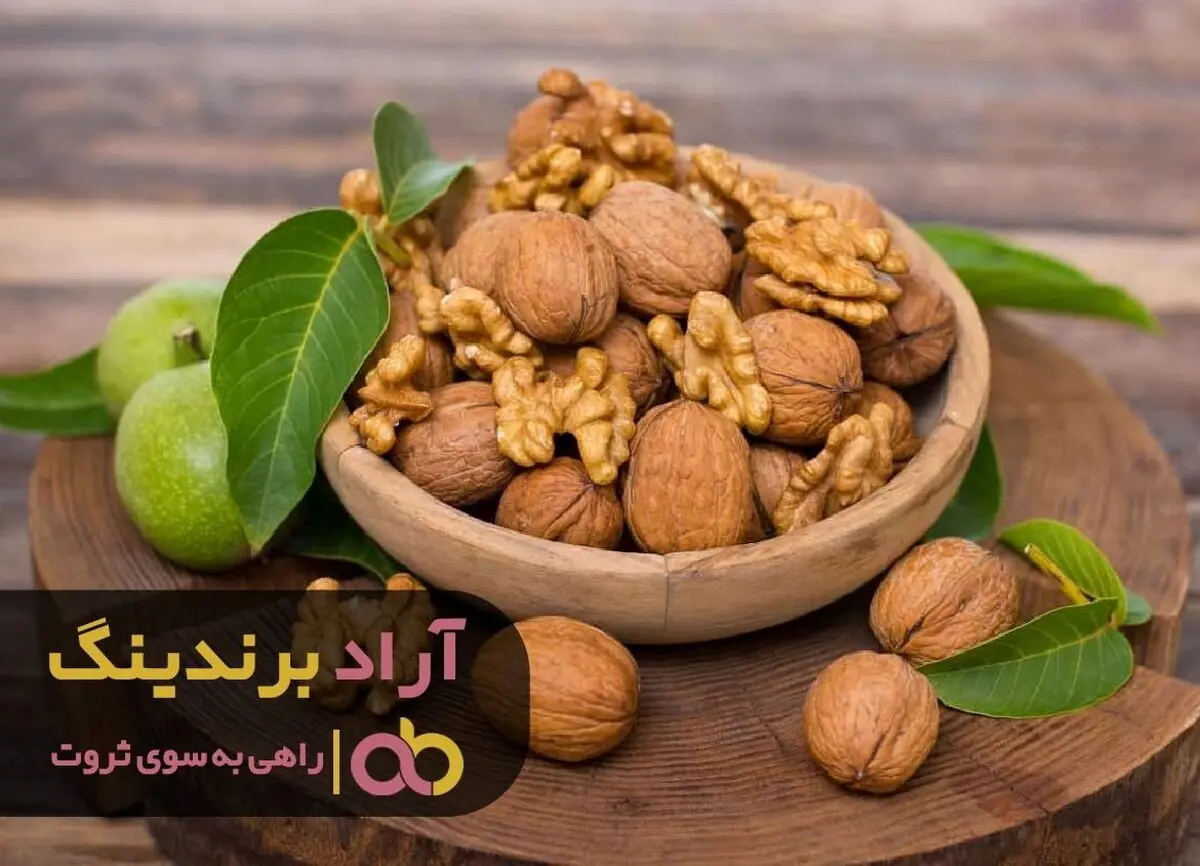 غنچه های ثروت در زندگی ام باز شد