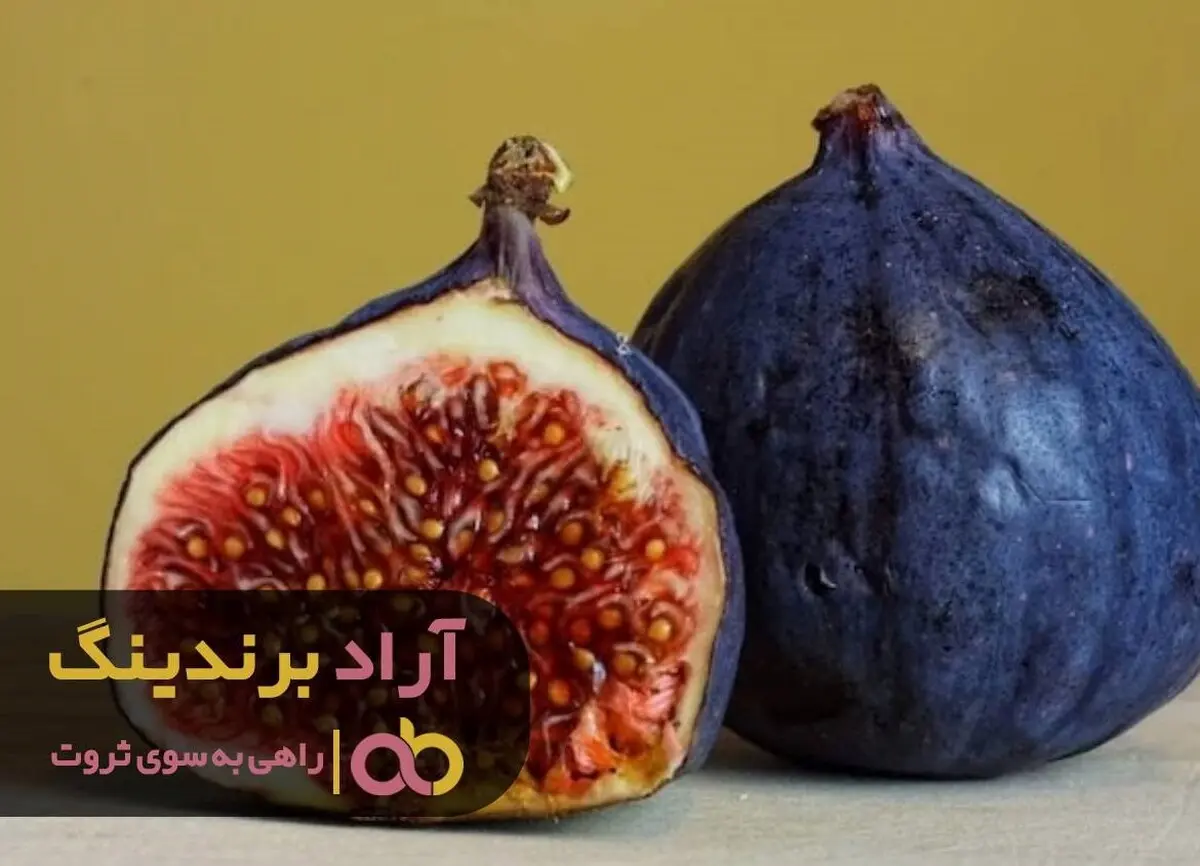 انجیر پیوند عمیقی بین من و ثروت ایجاد کرد