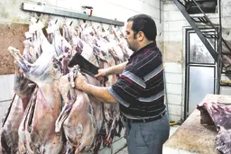 توزیع گوشت ارزان