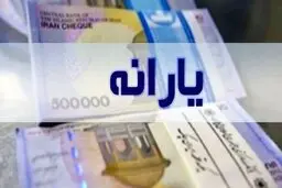 یارانه بگیران بخوانند | شیوه جدید کلاهبرداری یارانه ای