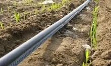 ابلاغ ۲۴۰ میلیارد اعتبار نقدی جهت بازسازی قنات در چهارمحال و بختیاری