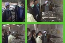 
قاچاق  |  احتکار ۳۲ تن روغن نباتی در بابل کشف شد.
