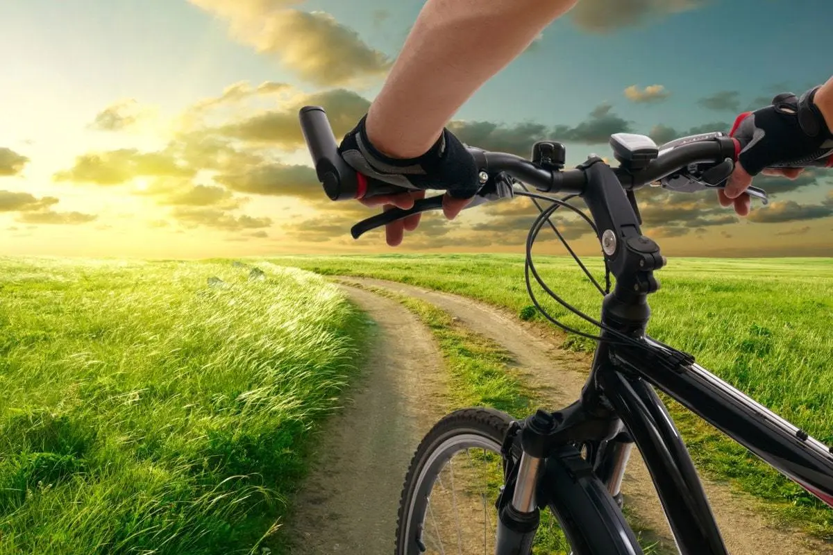 رفتار وحشیانه چند جوان دوچرخه سوار با یک خودرو در نیویورک+ ویدیو