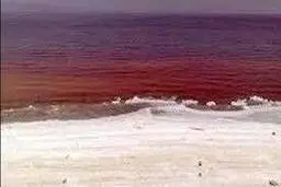   دریاچه نمک /سرخی دریاچه‌ی قم یکی از زیباترین رویداد‌ها در جهان 