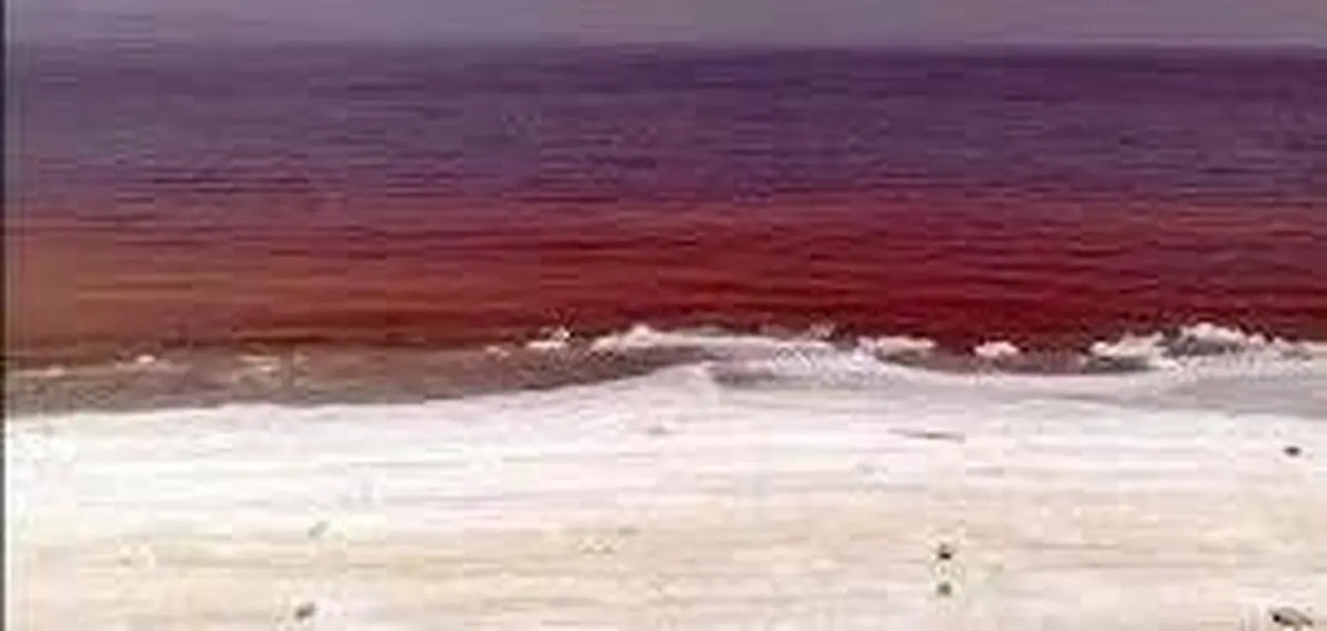   دریاچه نمک /سرخی دریاچه‌ی قم یکی از زیباترین رویداد‌ها در جهان 