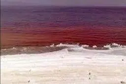   دریاچه نمک /سرخی دریاچه‌ی قم یکی از زیباترین رویداد‌ها در جهان 