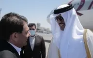 امیر قطر وارد تهران شد
