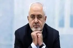 
ظریف: مادرتلاشیم  «اسدالله اسدی» رابازگردانیم

