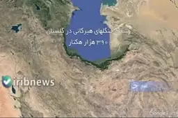 وقتی جنگل‌های ۵۰ میلیون ساله به دست سودجویان زیر و رو می‌شود! + ویدئو