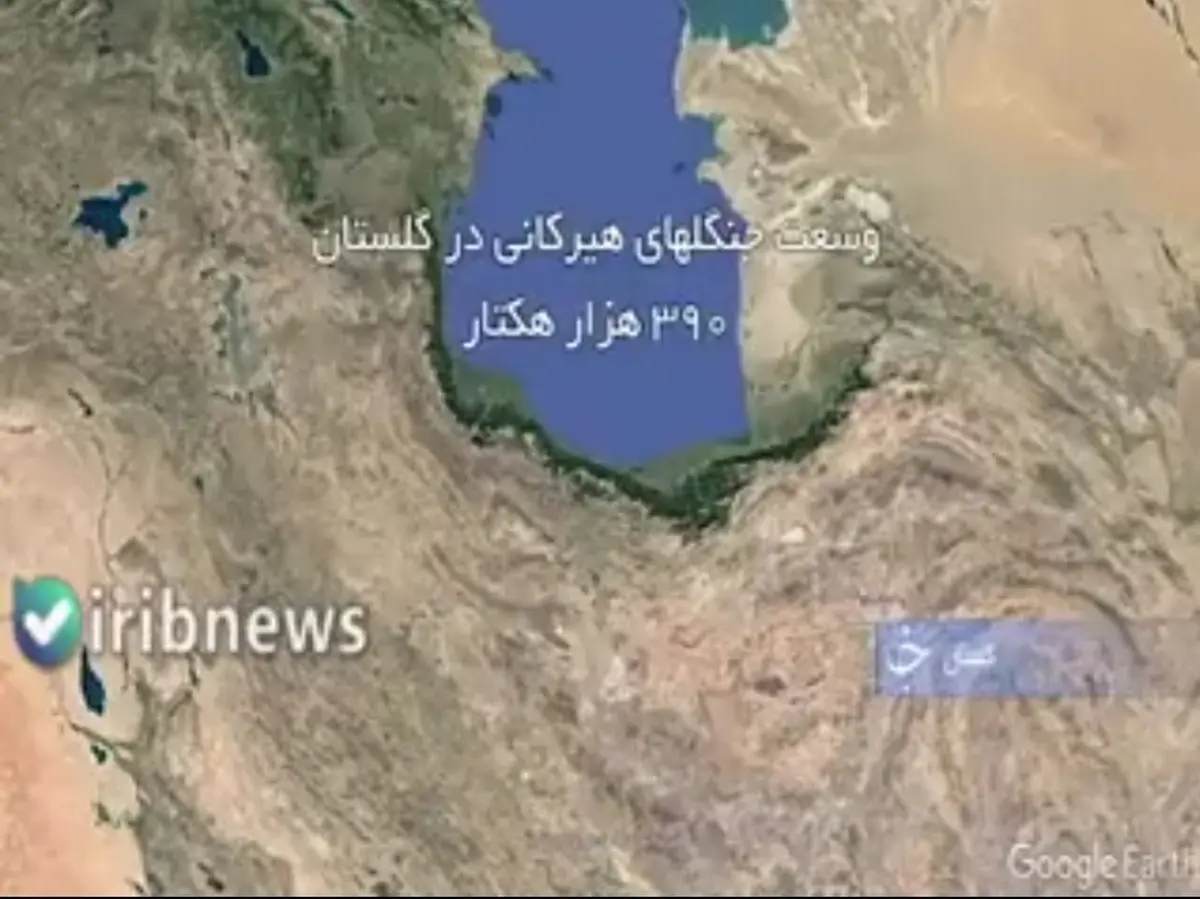 وقتی جنگل‌های ۵۰ میلیون ساله به دست سودجویان زیر و رو می‌شود! + ویدئو