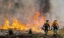 مهار آتش‌سوزی تالاب بندرانزلی | بیش از ۹۸ درصد حریق کنترل شد